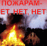 Профилактическая акция "ПОЖАРАМ - НЕТ" - Нолинское городское поселение